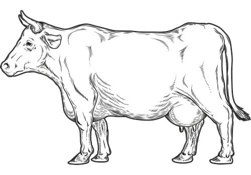 icon-koe-1